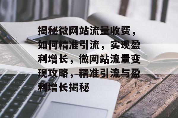 揭秘微网站流量收费，如何精准引流，实现盈利增长，微网站流量变现攻略，精准引流与盈利增长揭秘