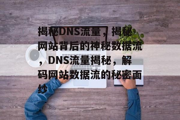 揭秘DNS流量，揭秘网站背后的神秘数据流，DNS流量揭秘，解码网站数据流的秘密面纱