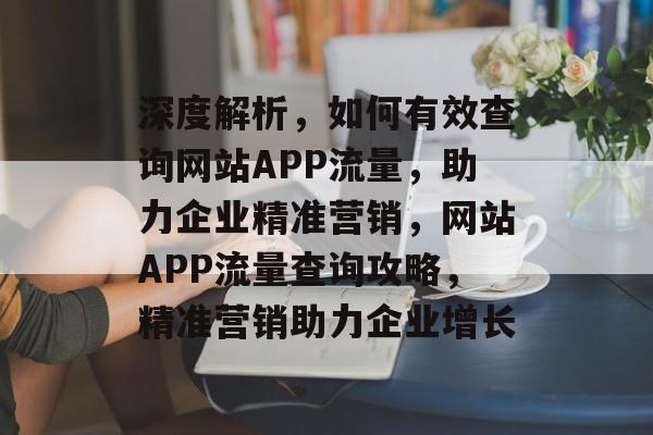 深度解析，如何有效查询网站APP流量，助力企业精准营销，网站APP流量查询攻略，精准营销助力企业增长