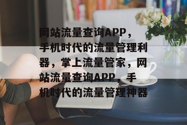 网站流量查询APP，手机时代的流量管理利器，掌上流量管家，网站流量查询APP，手机时代的流量管理神器