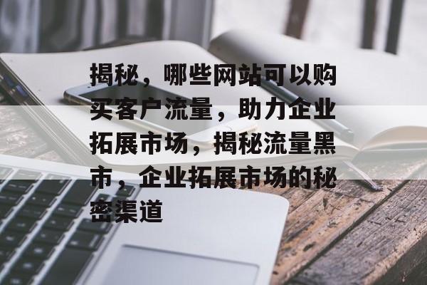 揭秘，哪些网站可以购买客户流量，助力企业拓展市场，揭秘流量黑市，企业拓展市场的秘密渠道