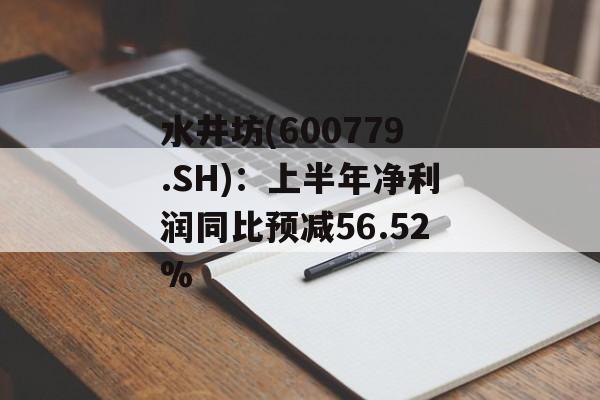 水井坊(600779.SH)：上半年净利润同比预减56.52%