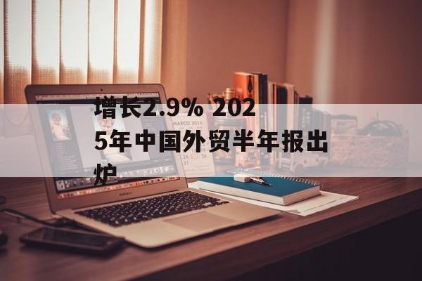 增长2.9% 2025年中国外贸半年报出炉