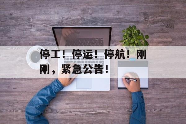停工！停运！停航！刚刚，紧急公告！