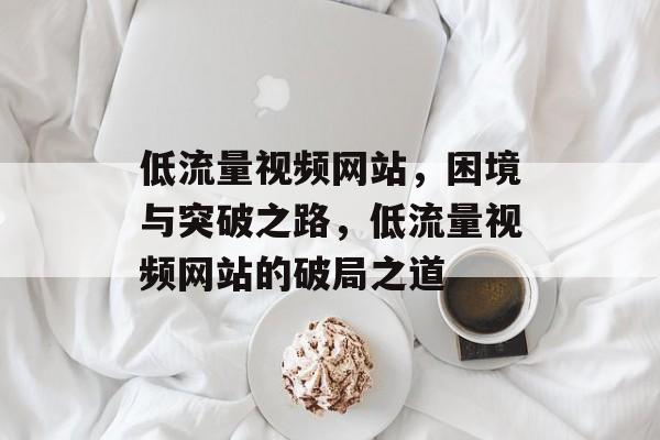 低流量视频网站，困境与突破之路，低流量视频网站的破局之道