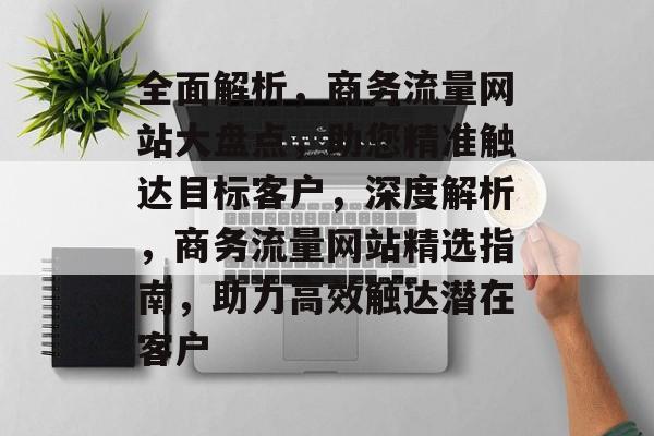 全面解析，商务流量网站大盘点，助您精准触达目标客户，深度解析，商务流量网站精选指南，助力高效触达潜在客户