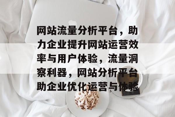 网站流量分析平台，助力企业提升网站运营效率与用户体验，流量洞察利器，网站分析平台助企业优化运营与体验