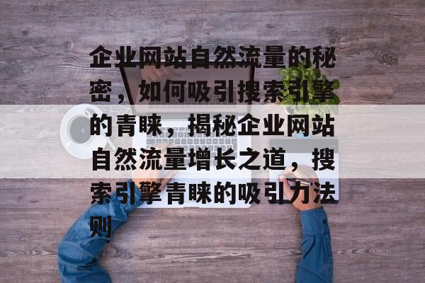 企业网站自然流量的秘密，如何吸引搜索引擎的青睐，揭秘企业网站自然流量增长之道，搜索引擎青睐的吸引力法则