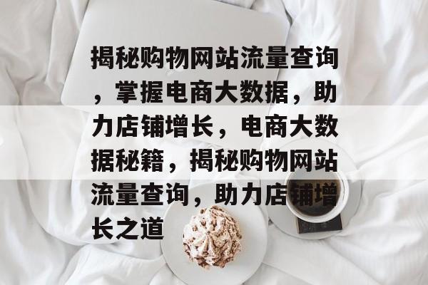 揭秘购物网站流量查询，掌握电商大数据，助力店铺增长，电商大数据秘籍，揭秘购物网站流量查询，助力店铺增长之道