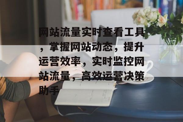 网站流量实时查看工具，掌握网站动态，提升运营效率，实时监控网站流量，高效运营决策助手