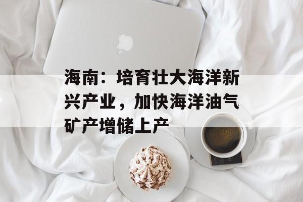 海南：培育壮大海洋新兴产业，加快海洋油气矿产增储上产