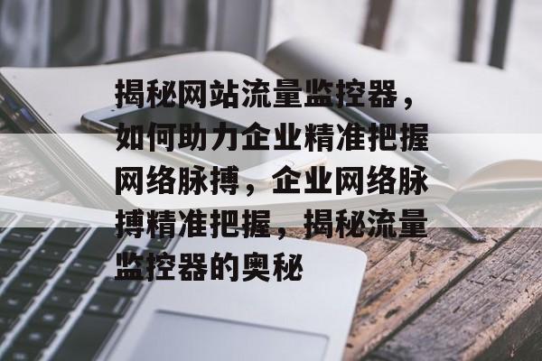 揭秘网站流量监控器，如何助力企业精准把握网络脉搏，企业网络脉搏精准把握，揭秘流量监控器的奥秘