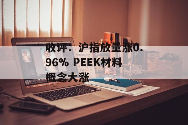 收评：沪指放量涨0.96% PEEK材料概念大涨