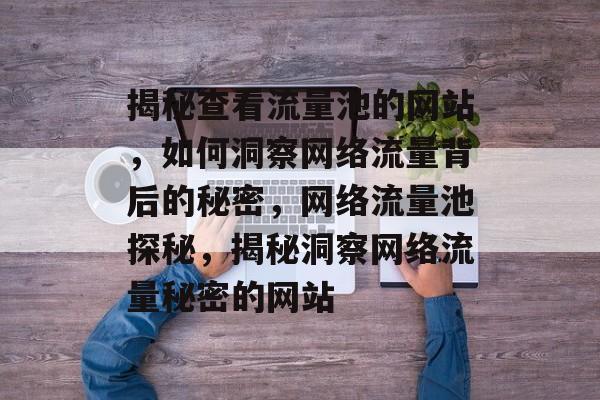 揭秘查看流量池的网站，如何洞察网络流量背后的秘密，网络流量池探秘，揭秘洞察网络流量秘密的网站
