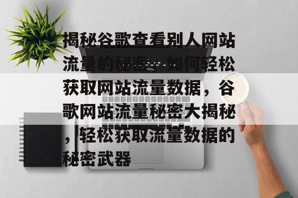 揭秘谷歌查看别人网站流量的秘密，如何轻松获取网站流量数据，谷歌网站流量秘密大揭秘，轻松获取流量数据的秘密武器