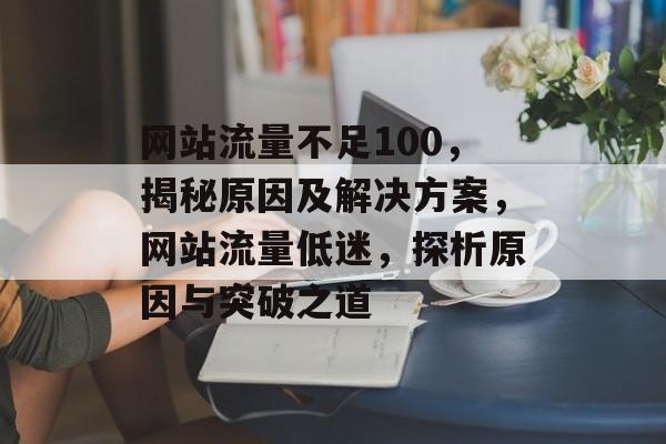网站流量不足100，揭秘原因及解决方案，网站流量低迷，探析原因与突破之道