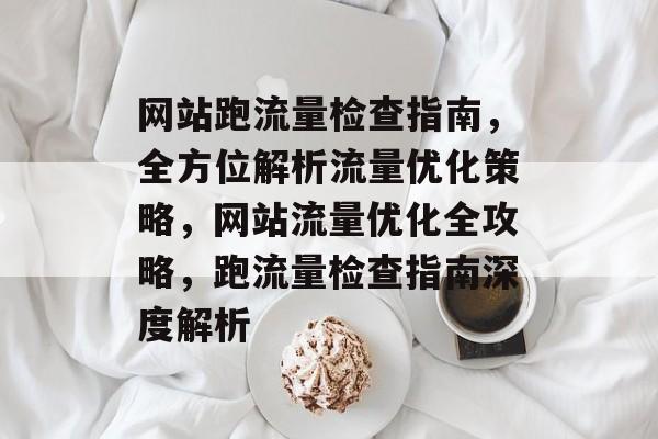 网站跑流量检查指南，全方位解析流量优化策略，网站流量优化全攻略，跑流量检查指南深度解析