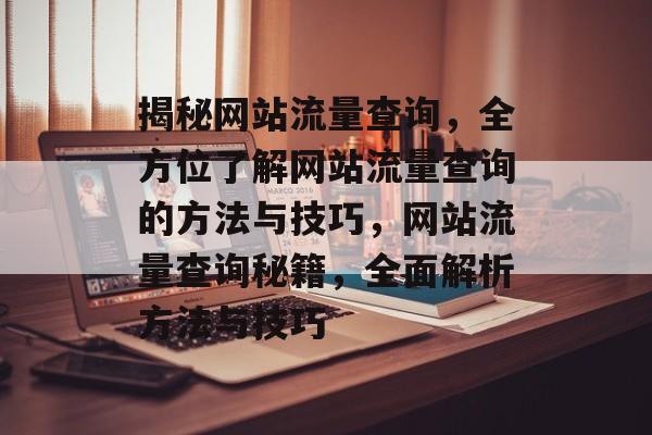 揭秘网站流量查询，全方位了解网站流量查询的方法与技巧，网站流量查询秘籍，全面解析方法与技巧