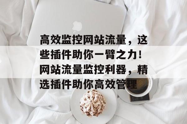 高效监控网站流量，这些插件助你一臂之力！网站流量监控利器，精选插件助你高效管理