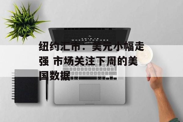 纽约汇市：美元小幅走强 市场关注下周的美国数据