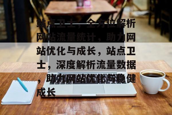 站点卫士，全方位解析网站流量统计，助力网站优化与成长，站点卫士，深度解析流量数据，助力网站优化与稳健成长