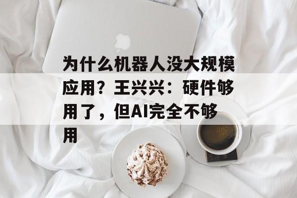 为什么机器人没大规模应用？王兴兴：硬件够用了，但AI完全不够用
