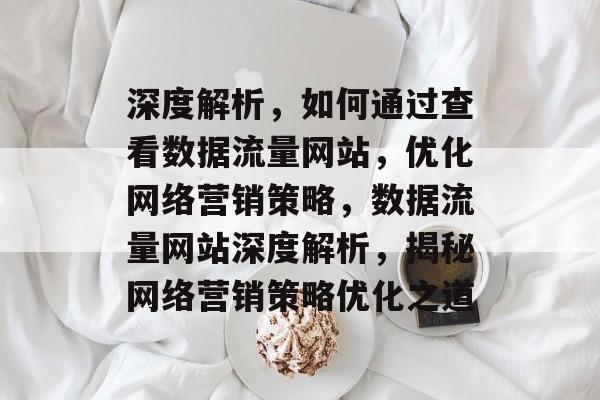 深度解析，如何通过查看数据流量网站，优化网络营销策略，数据流量网站深度解析，揭秘网络营销策略优化之道