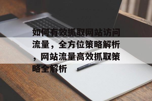 如何有效抓取网站访问流量，全方位策略解析，网站流量高效抓取策略全解析