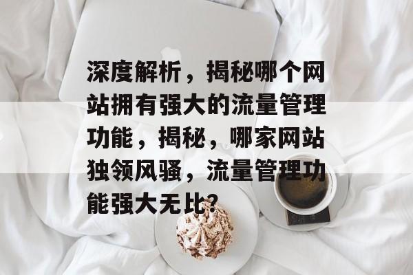 深度解析，揭秘哪个网站拥有强大的流量管理功能，揭秘，哪家网站独领风骚，流量管理功能强大无比？