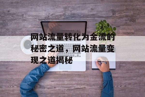 网站流量转化为金流的秘密之道，网站流量变现之道揭秘