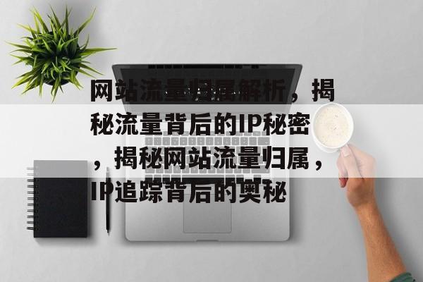 网站流量归属解析，揭秘流量背后的IP秘密，揭秘网站流量归属，IP追踪背后的奥秘