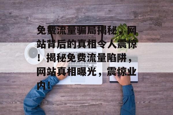免费流量骗局揭秘，网站背后的真相令人震惊！揭秘免费流量陷阱，网站真相曝光，震惊业内！