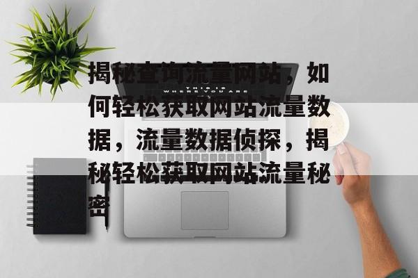 揭秘查询流量网站，如何轻松获取网站流量数据，流量数据侦探，揭秘轻松获取网站流量秘密