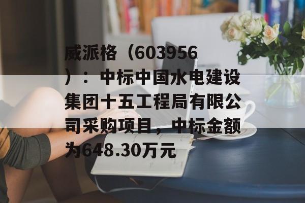 威派格（603956）：中标中国水电建设集团十五工程局有限公司采购项目，中标金额为648.30万元