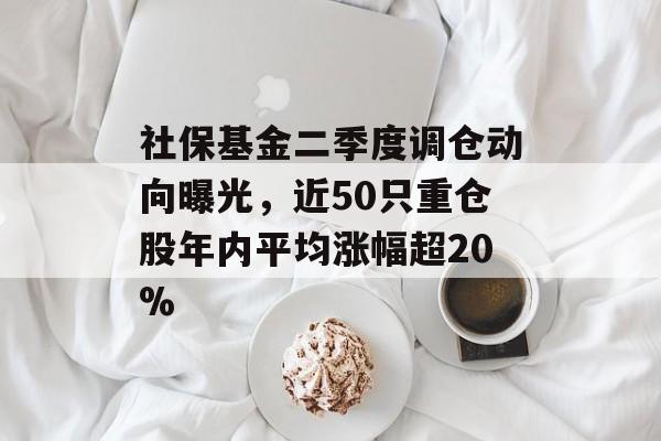 社保基金二季度调仓动向曝光，近50只重仓股年内平均涨幅超20%
