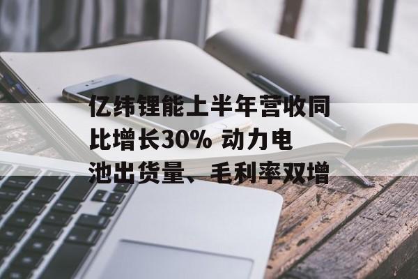 亿纬锂能上半年营收同比增长30% 动力电池出货量、毛利率双增