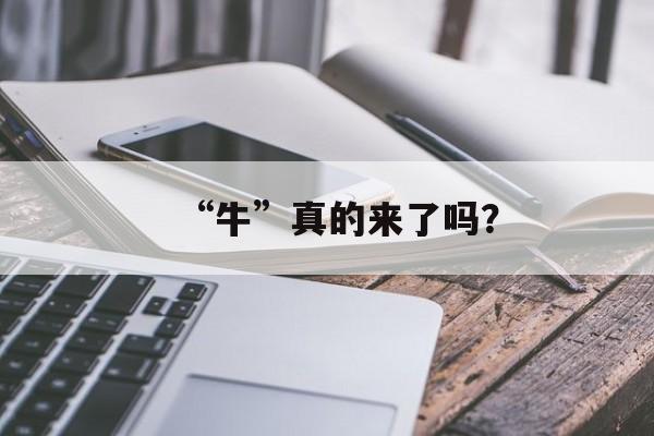 “牛”真的来了吗？