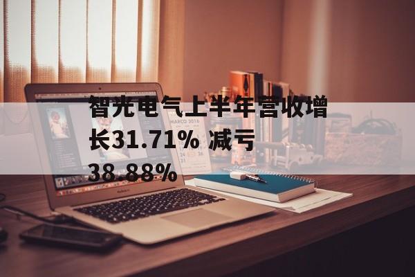 智光电气上半年营收增长31.71% 减亏38.88%