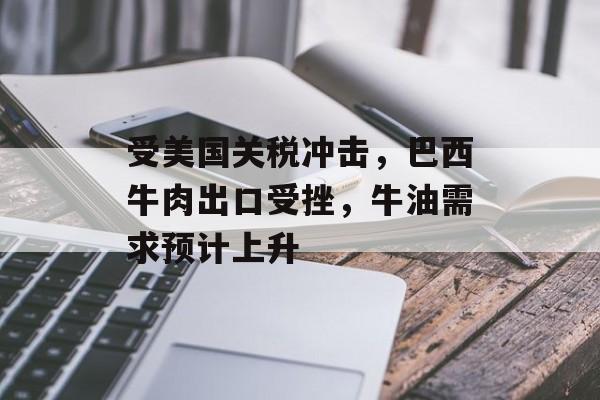 受美国关税冲击，巴西牛肉出口受挫，牛油需求预计上升