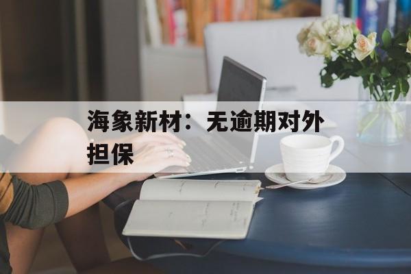 海象新材：无逾期对外担保