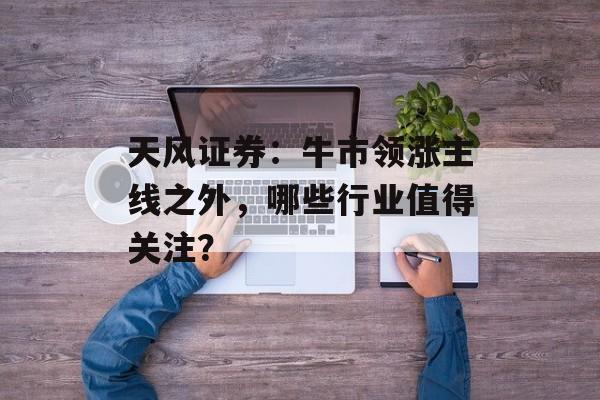 天风证券：牛市领涨主线之外，哪些行业值得关注？