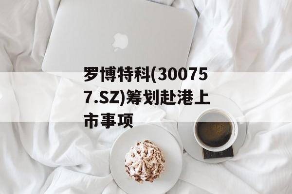 罗博特科(300757.SZ)筹划赴港上市事项