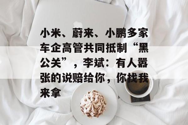 小米、蔚来、小鹏多家车企高管共同抵制“黑公关”，李斌：有人嚣张的说赔给你，你找我来拿