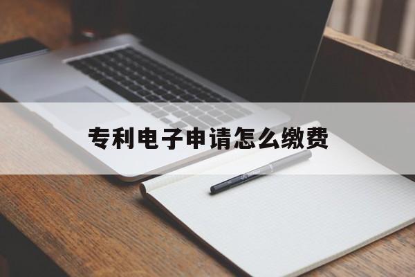 专利电子申请怎么缴费