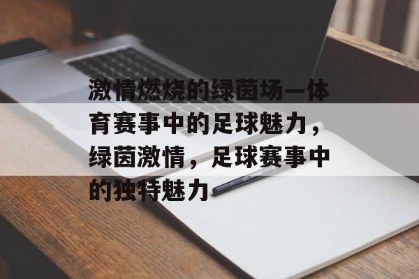 激情燃烧的绿茵场—体育赛事中的足球魅力，绿茵激情，足球赛事中的独特魅力