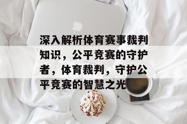 深入解析体育赛事裁判知识，公平竞赛的守护者，体育裁判，守护公平竞赛的智慧之光