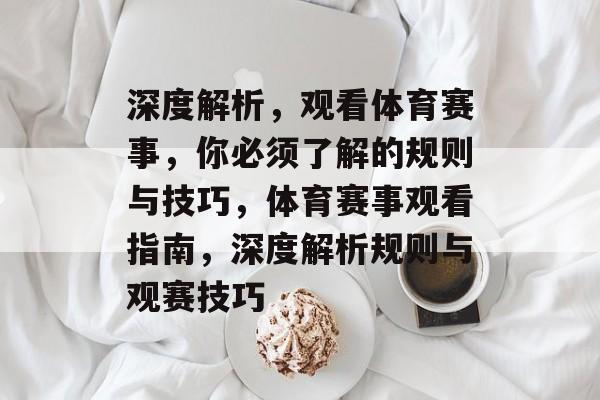 深度解析，观看体育赛事，你必须了解的规则与技巧，体育赛事观看指南，深度解析规则与观赛技巧