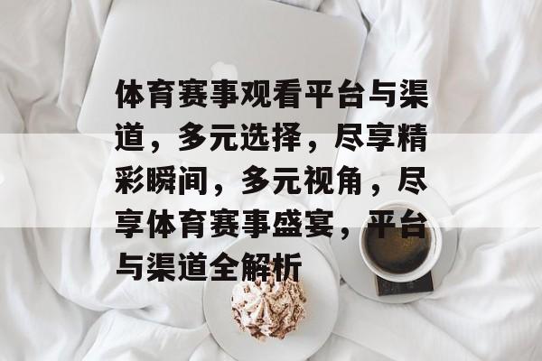 体育赛事观看平台与渠道，多元选择，尽享精彩瞬间，多元视角，尽享体育赛事盛宴，平台与渠道全解析