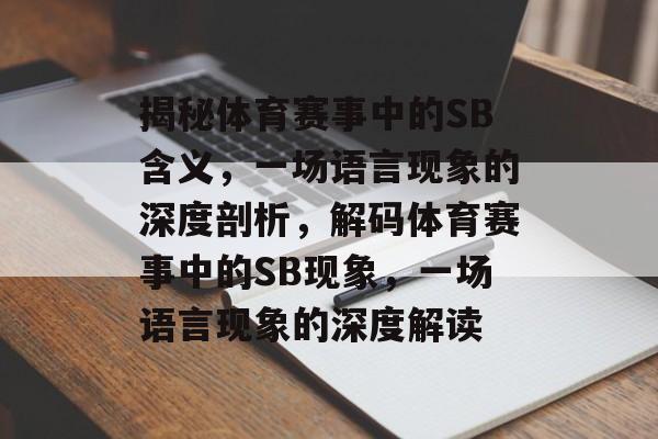 揭秘体育赛事中的SB含义，一场语言现象的深度剖析，解码体育赛事中的SB现象，一场语言现象的深度解读