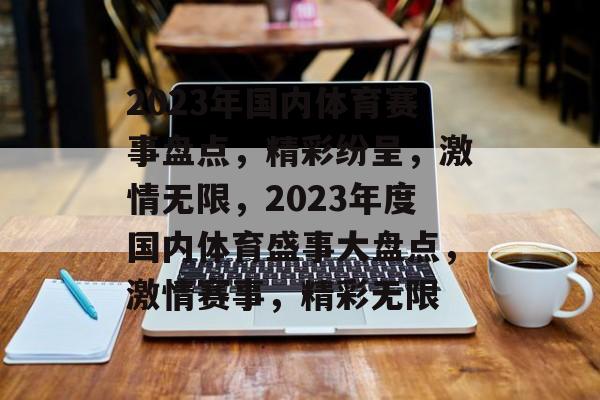 2023年国内体育赛事盘点，精彩纷呈，激情无限，2023年度国内体育盛事大盘点，激情赛事，精彩无限
